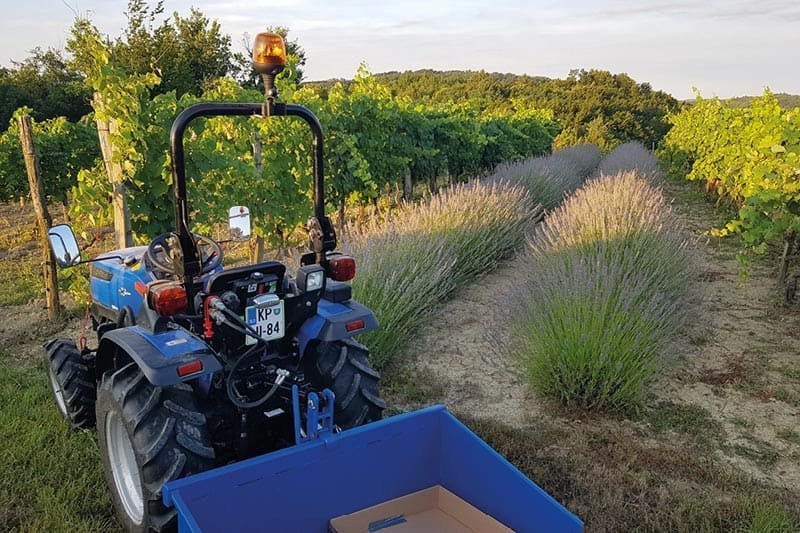 Solis 26S Kleintraktor – 26 PS Allradtraktor mit Seitenschaltung & Servolenkung